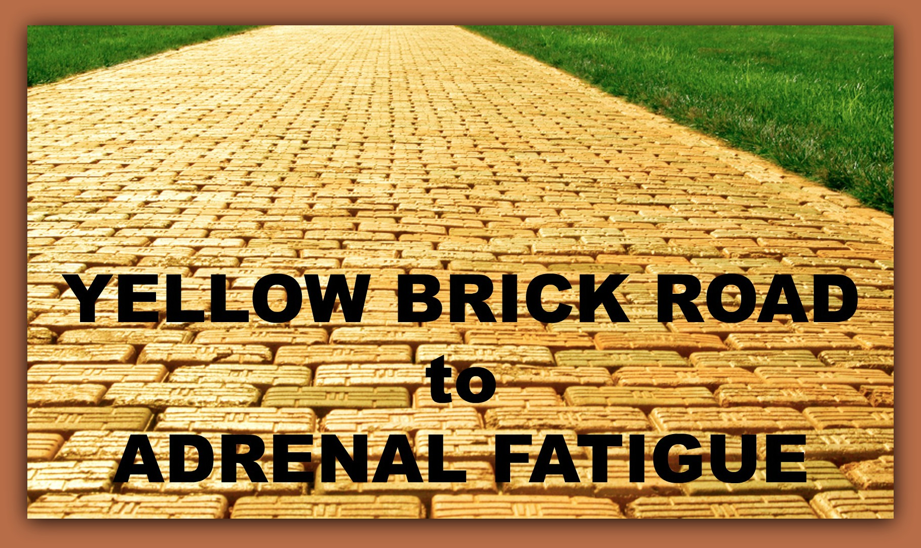 The dirtyyellow brick road to ADRENAL FATIGUE...are you headed there?? Stop The Thyroid Madness