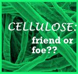 cellulose