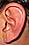 ear