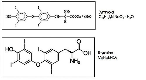 Synthroid To Armour Thyroid Conversion Chart